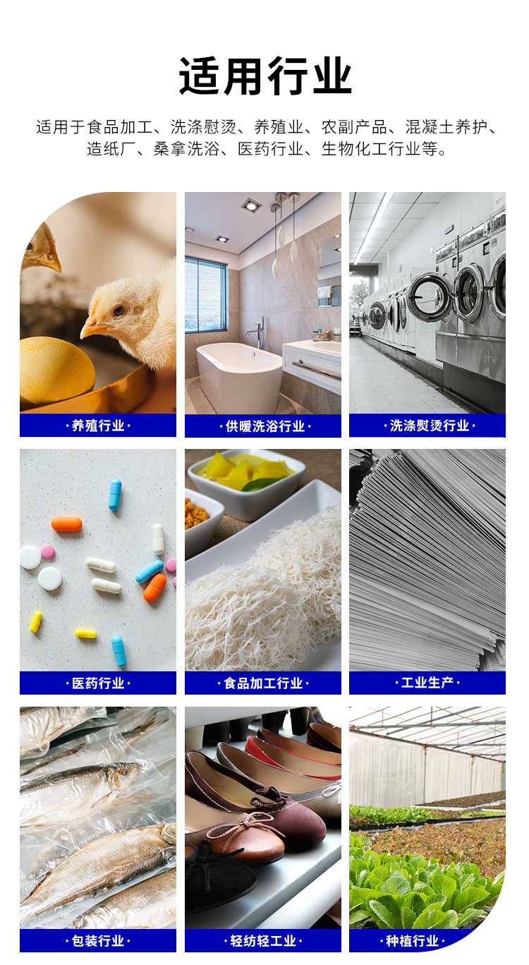 WSS系列29L-1吨生物质蒸汽发生器